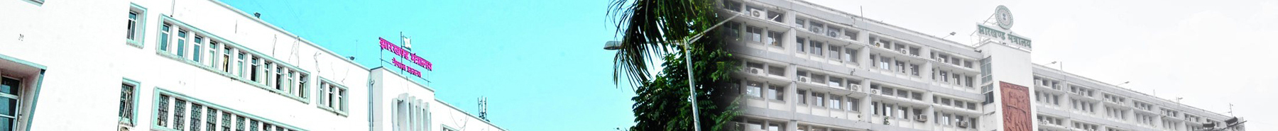 Inner Banner of Consumer Affairs